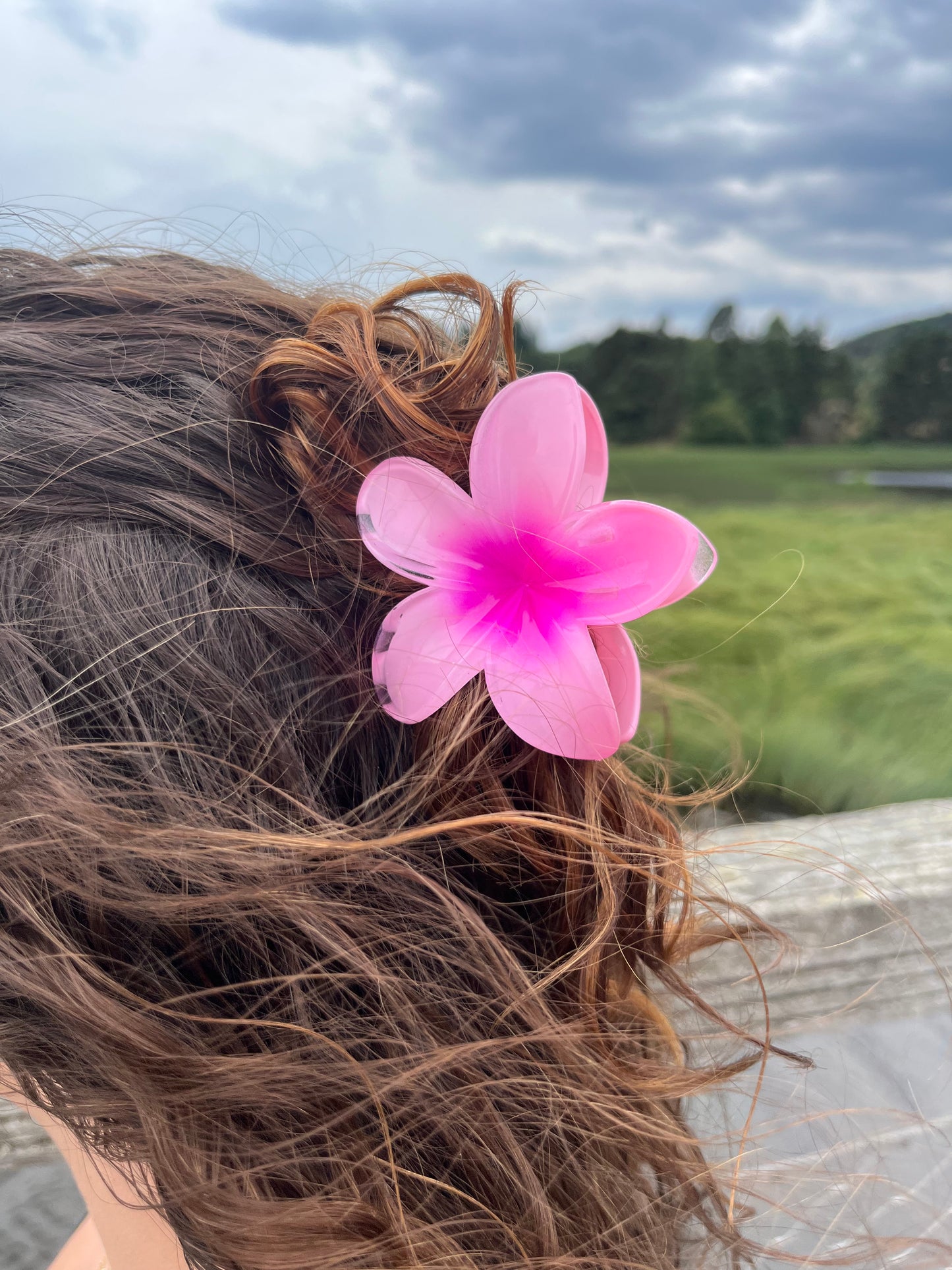 Pinces Hibiscus Rosalia