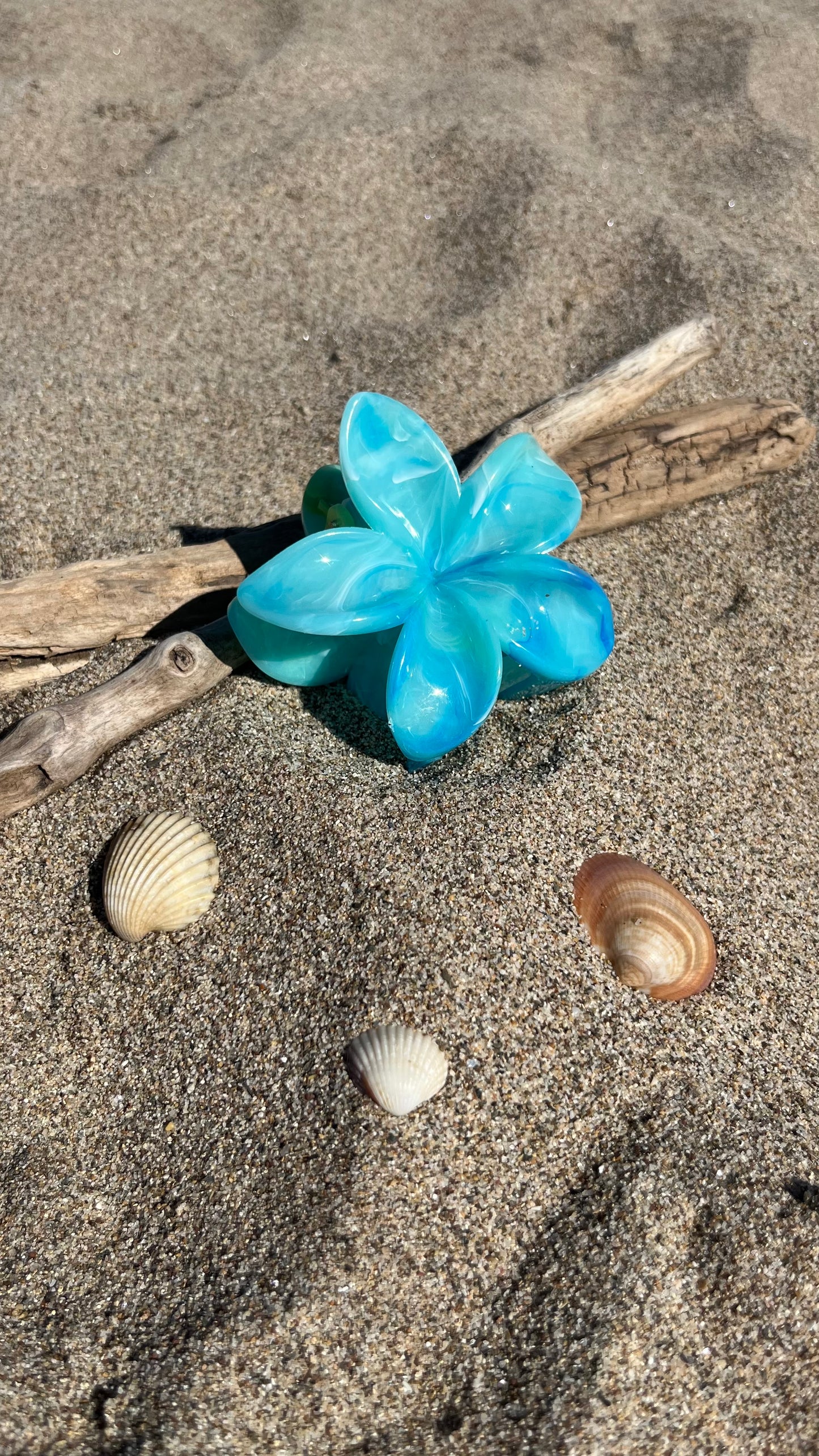 Pinces Hibiscus Océan