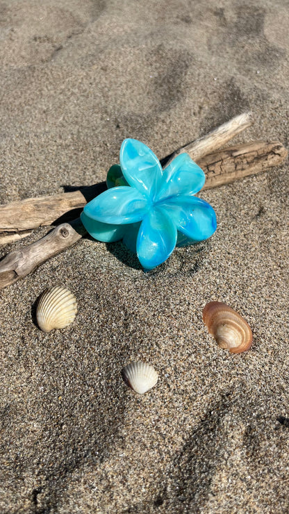 Pinces Hibiscus Océan