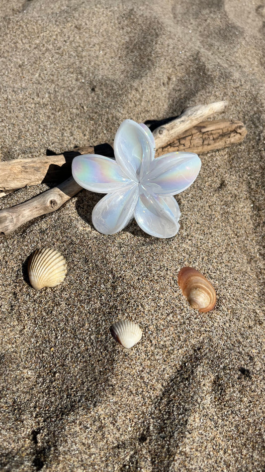 Pinces Hibiscus Sirena