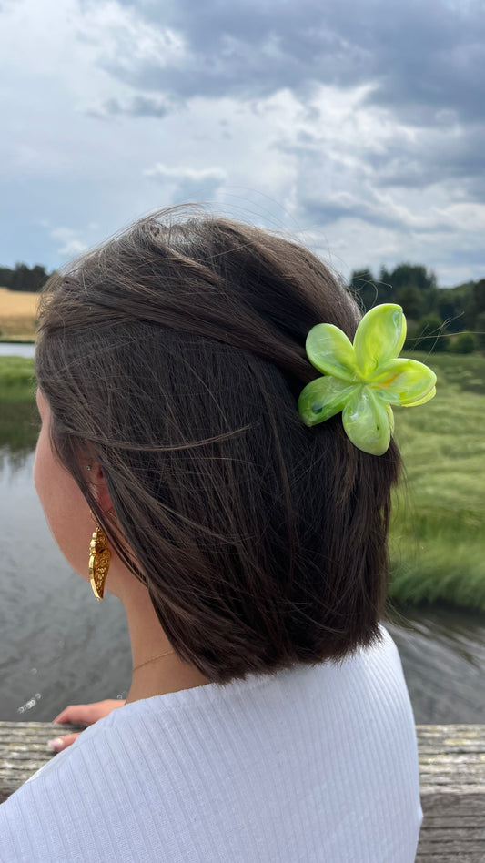 Pinces Hibiscus Matcha