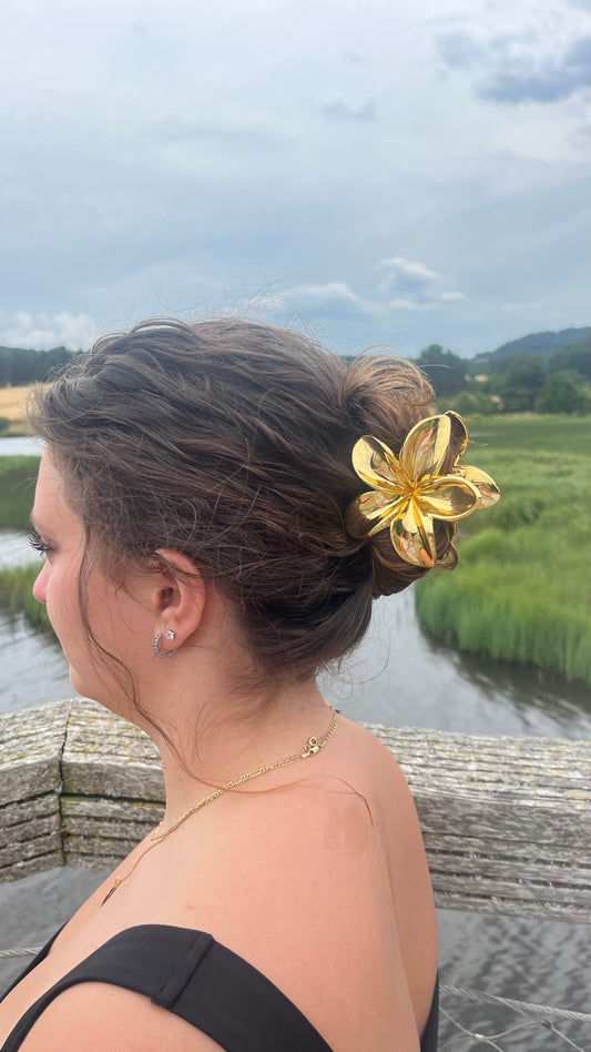 Pinces Hibiscus Gold