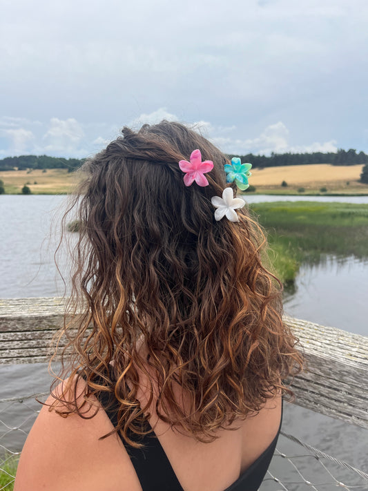 Mini Pinces Flora - Lot Flashy