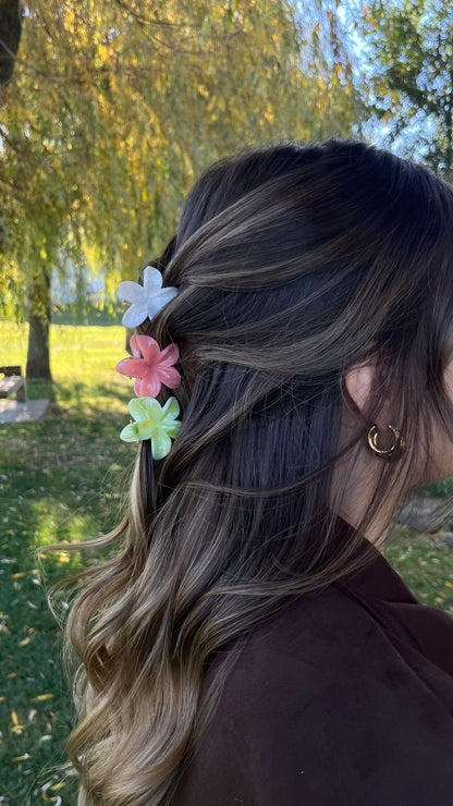 Mini Pinces Flora - Lot Glow