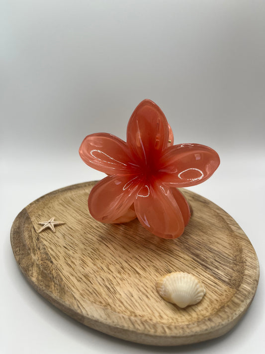 Pinces Hibiscus Sunset