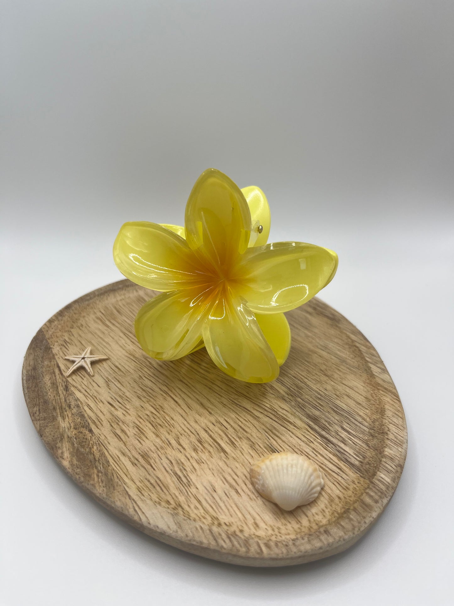 Pinces Hibiscus Soleya