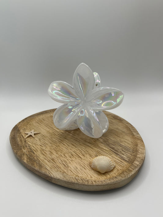 Pinces Hibiscus Sirena