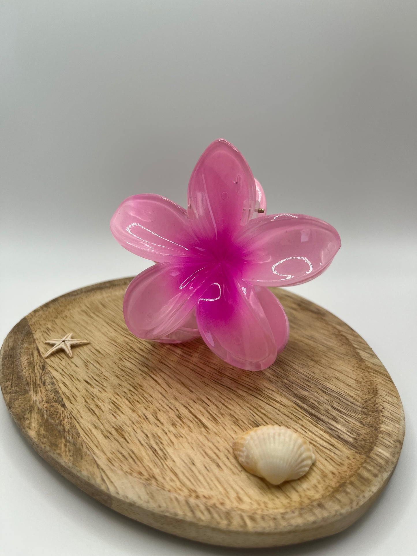 Pinces Hibiscus Rosalia