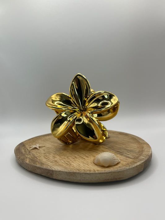 Pinces Hibiscus Gold
