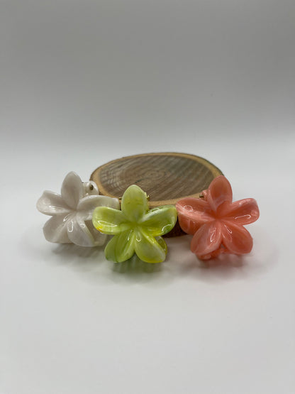 Mini Pinces Flora - Lot Glow